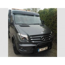 Visière plastique Mercedes