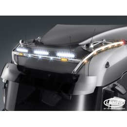 Rampe de toit "WILDLIFE MAXIMUM" (20701.5) - RENAULT