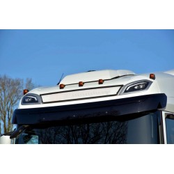Enseigne DAF XF extra plate...