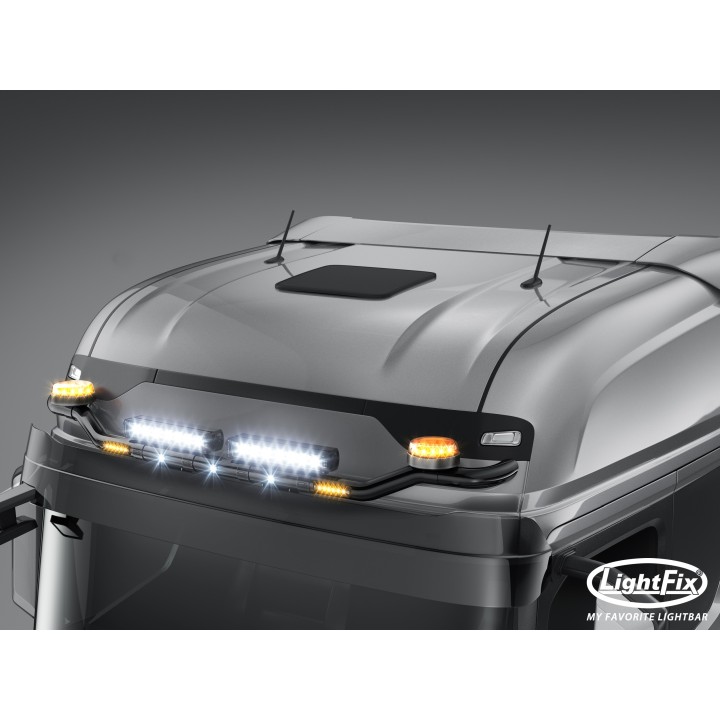 Rampe de toit SKY-LIGHT "WING" (22701.1) - FORD