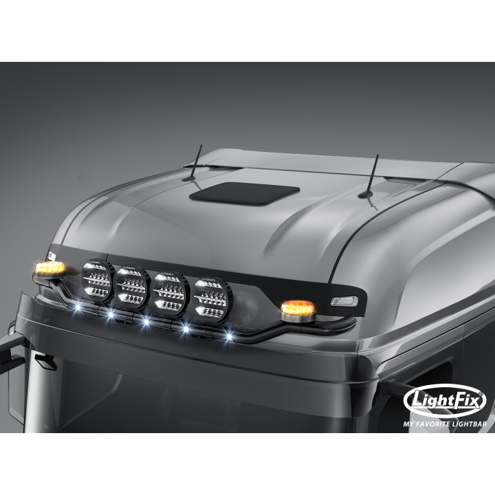 Rampe de toit SKY-LIGHT "WING" (22701.1) - FORD
