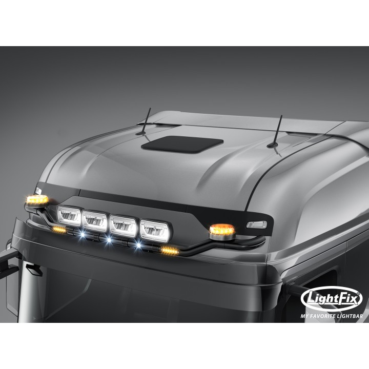 Rampe de toit SKY-LIGHT "WING" (22701.1) - FORD