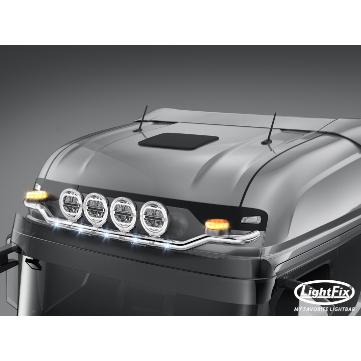 Rampe de toit SKY-LIGHT "WING" (22701.1) - FORD