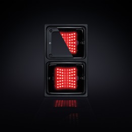 Boitier pour feux IZE LED STRANDS vertical x2